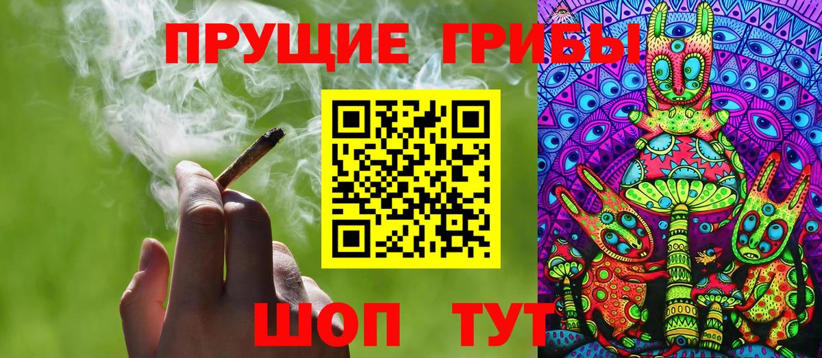 Псилоцибиновые грибы Psilocybe Северобайкальск